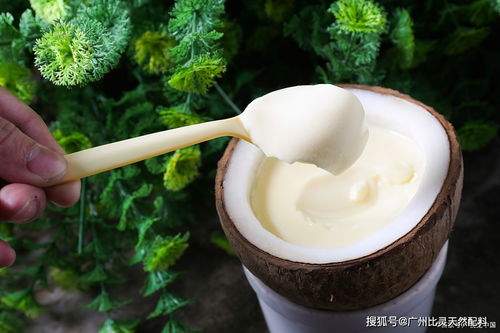 iff t2n 椰奶香精 超前包埋技術(shù),超高性價比,讓你的產(chǎn)品更吃香